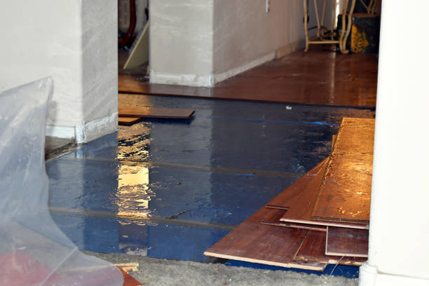 Professional Flood Cleanup technician working in Auburndale, MA